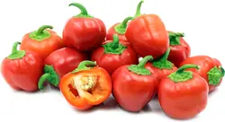 بذر فلفل زنگوله ای قرمز بسته ۲۰ عددی