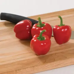 بذر فلفل زنگوله ای قرمز بسته ۲۰ عددی