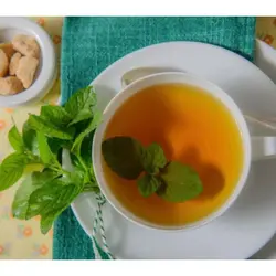 بذر پونه خوش عطر اصیل ایرانی بسته ۲۰۰ عددی