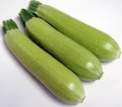 بذر کدو خورشتی سبز روشن بسته 25 عددی