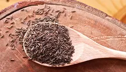 بذر زیره سیاه اصیل ایرانی بسته 200 عددی