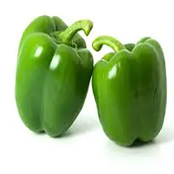 بذر فلفل دلمه سبز کالیفرنیا آمریکایی بسته 20 عددی