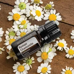 بذر بابونه رومی چندساله بسته 200 عددی