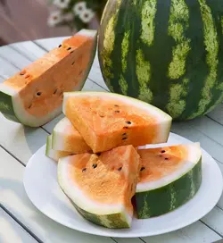بذر هندوانه نارنجی ارگانیک بسته ۶ عددی