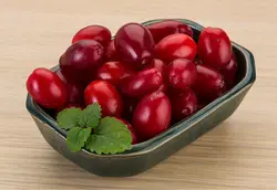 بذر درخت زغال اخته باکو فوق درشت بسته 3 عددی