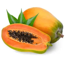بذر پاپایا رداستار بسته 5 عددی