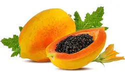 بذر پاپایا رداستار بسته 5 عددی