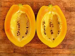 بذر پاپایا گلد کارینا استاندارد پاکوتاه بسته 5 عددی