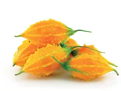 بذر بیتر ملون یا کارلا هندی بسته 5 عددی