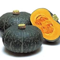 بذر کدو تنبل دلیکابسته 3 عددی