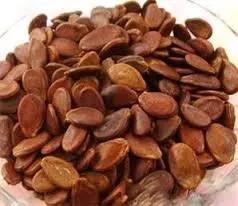 بذر هندوانه تخم ژاپنی بسته 20 تایی