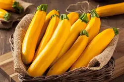 بذر کدو خورشتی زرد طلایی استاندارد بسته 20 عددی