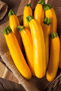 بذر کدو خورشتی زرد طلایی استاندارد بسته 20 عددی