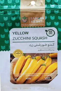بذر کدو خورشتی زرد طلایی استاندارد بسته 20 عددی