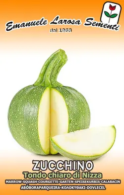 بذر کدو خورشتی دلمه سبز روشن ایتالیایی پاکت اورجینال 50 عددی