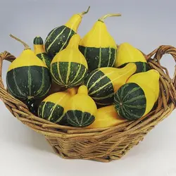 بذر کدو گلابی زینتی بسته 5 عددی