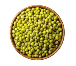 بذر ماش سبز ارگانیک اصیل ایرانی بسته 50 عددی