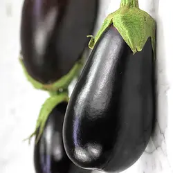 بذر بادمجان فلوریدا مارکت بسته ۵۰ عددی