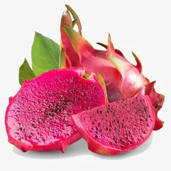 بذر دراگون فروت قرمز بسته ۱۰ عددی