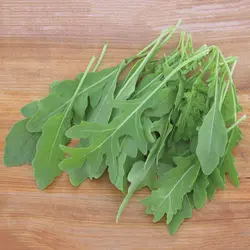 بذر راکولا سیلوتا بسته ۵۰ عددی