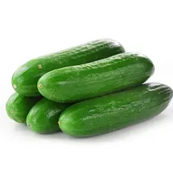 بذر خیار هیبرید ۱۱۱ آمریکایی پربار بسته 20 عددی