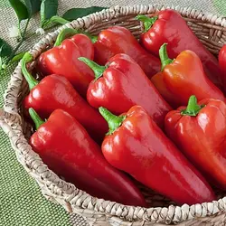بذر فلفل گوشتی چیلی تند بسته 20 عددی
