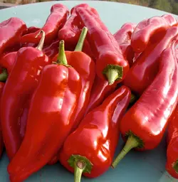 بذر فلفل گوشتی چیلی تند بسته 20 عددی