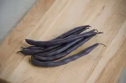بذر لوبیا مشکی رویال بسته 10 عددی