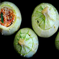 بذر کدو دلمه سبز روشن بسته ۲۰ عددی