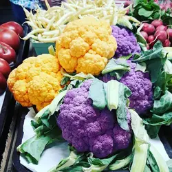 بذر گل کلم بنفش بسته ۲۵ عددی