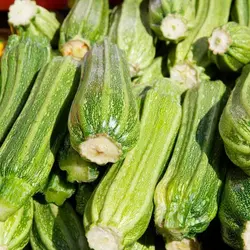 بذر کدو سبز عاجدار ایتالیایی بسته 10 عددی