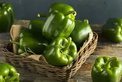 بذر فلفل دلمه سبزهیبرید فوق پربار آمریکایی بسته 5 عددی