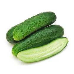 بذر خیار خاردار درختی هیبرید بسته 10 عددی