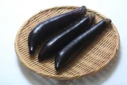 بذر بادمجان قلمی ژاپنی تمام مشکی بسته 25 عددی