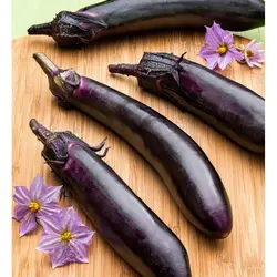 بذر بادمجان قلمی ژاپنی تمام مشکی بسته 25 عددی
