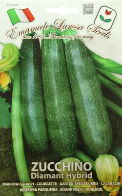 بذر کدو خورشتی هیبرید سبز پررنگ دیامنت پاکت اورجینال ایتالیایی ۳۵ عددی