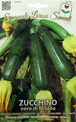 بذر کدو خورشتی میلانو پاکت اورجینال ایتالیایی ۵۰ عددی