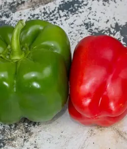 بذر فلفل دلمه سبز آمریکایی بسته ۳۰ عددی