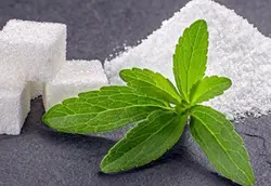 بذر استویا شیرین برگ عسلی بسته 20 عددی