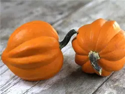 بذر کدو تیبل گلد بسته ۲۰ عددی