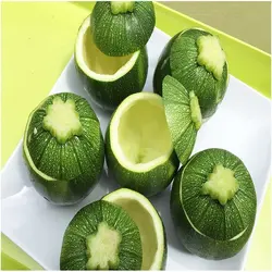 بذر کدو دلمه سبز هیبرید پر رنگ بسته بذر ۱۰ عددی