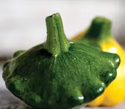 بذر کدو ستاره ای سبز روشن بسته ۲۰ عددی