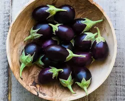 بذر بیبی بادمجان ترشی اسپانیایی بسته 20 عددی
