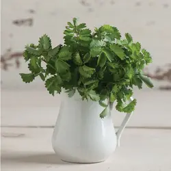 بذر سالاد برنت بسته 30 عددی