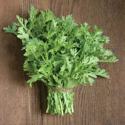 بذر سبزی شانجیکو معطر بسته 50 عددی