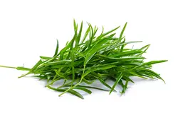 بذر ترخون معطر روسی بسته 30 عددی