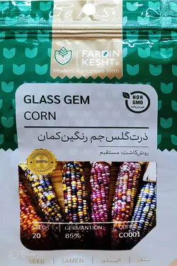 بذر ذرت گلس جم رنگین کمان بسته 20 عددی