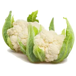 بذر کلم گل آریزونا هیبرید آمریکایی بسته 10 عددی