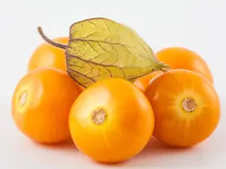 بذر فیسالیس غول آسیا هندی بسته ۳۰ عددی