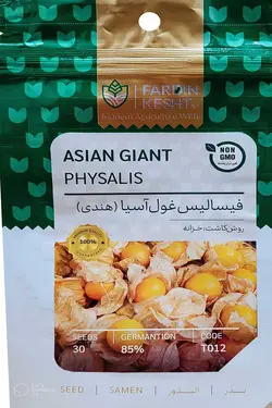 بذر فیسالیس غول آسیا هندی بسته ۳۰ عددی